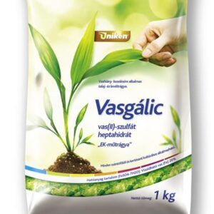 Vasgálic 1kg