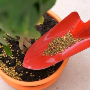 Szilárd tápanyagutánpótlás