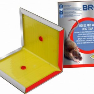 Bros egér és patkányfogó ragasztós lap dióillattal